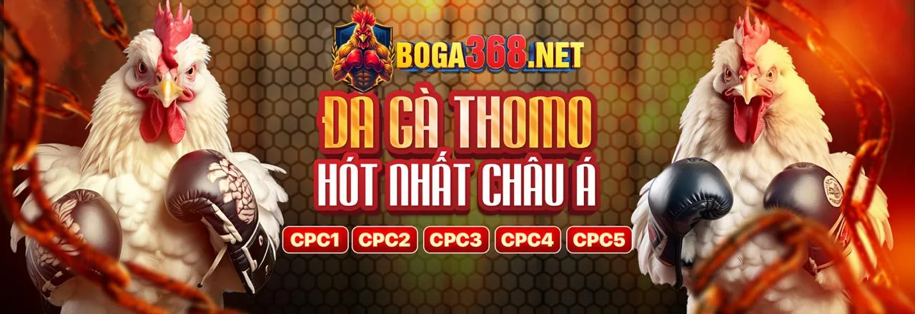 Giao diện cá cược trực tiếp sôi động tại kk88bet