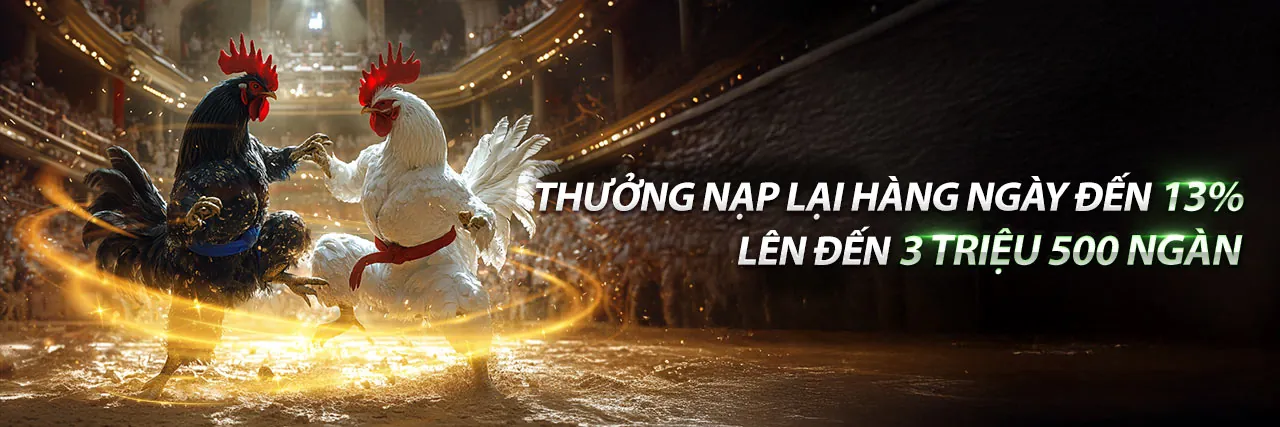 Đá gà trực tuyến kk88bet